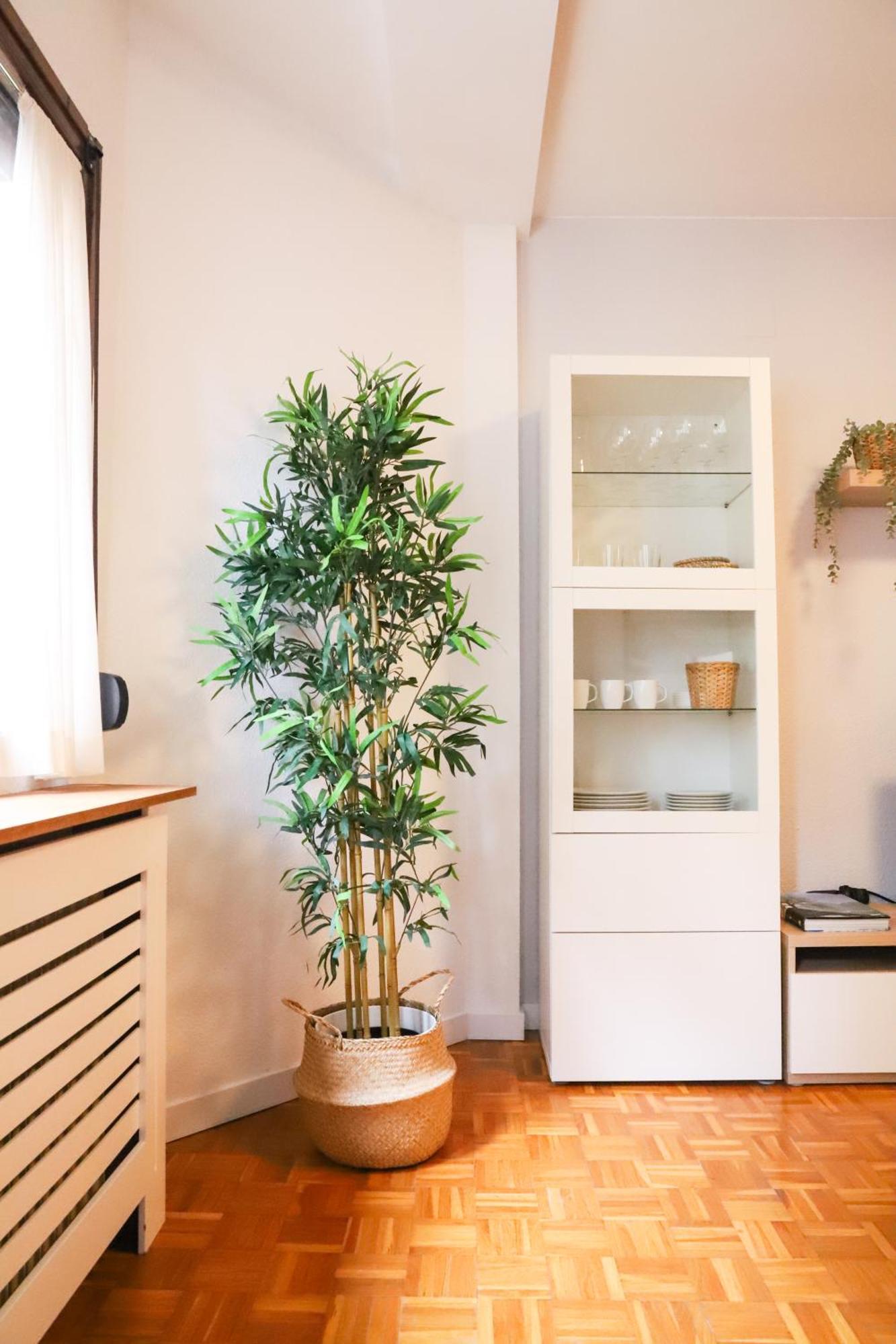 Casa Aspe Jaca Apartment Luaran gambar